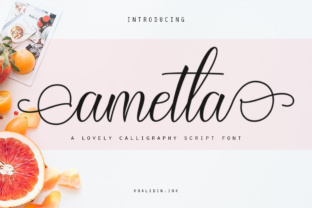 Ametta Script Font for Professional Business Branding