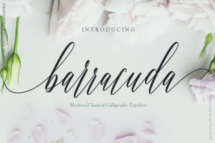 Barracuda Script Font: A Designer’s Campaign Review