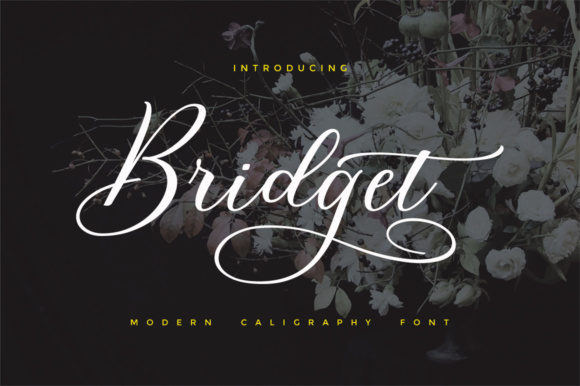 Bridget Script Font: Modern Typography for Digital Campaigns