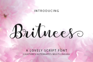 Britnees Script Font: A Designer’s Branding Test