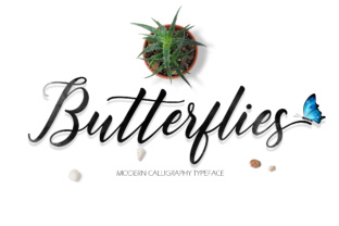Butterflies Script: A Designer’s Practical Review