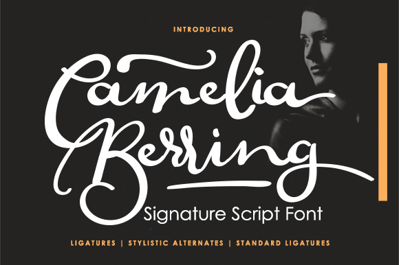Camelia Berring Script Font for Web Design