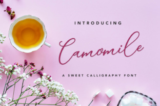 Camomile Script Font Review for Web Design