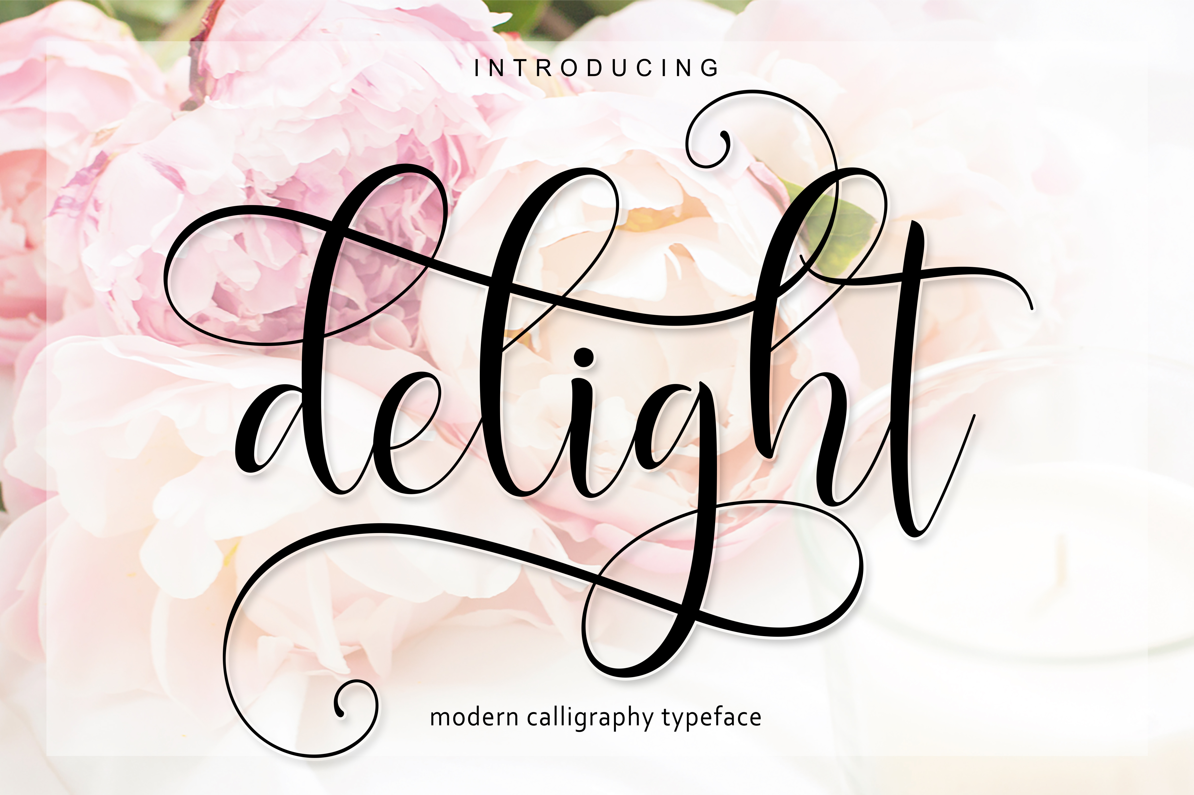 Delight Script Font Review for Digital Campaigns
