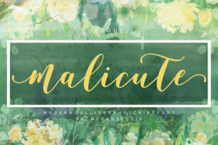 Malicute Script Font: A Designer’s Campaign Review