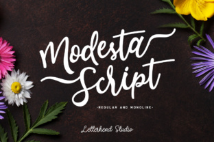 Modesta Script Font for Feminine Craft Projects