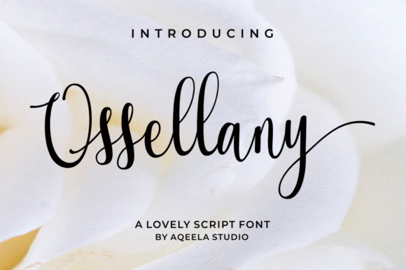 Ossellany Script Font Review for Modern Branding