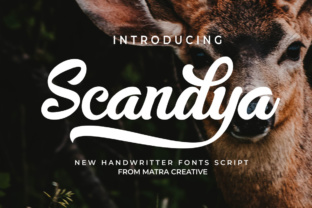 Scandya Script Font for Authentic Web Design