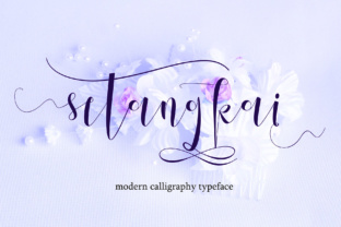 Setangkai Script Font Review for Digital Campaigns