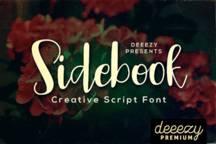 Sidebook Script Font: A Branding Review for Small Business