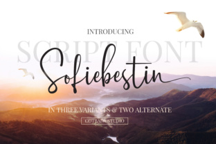 Sofiebestin Script Font: A Web Designer’s Layout Test
